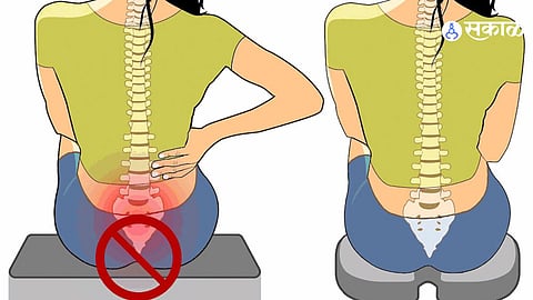 tailbone