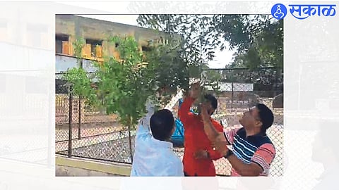 Police and activists while taking possession of the material hanging from the tree in the sports complex.