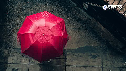 imd rain update no alert issue to any district monsoon weather forecast