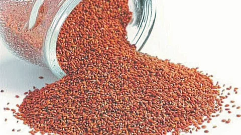 health benefits aliv halim seeds