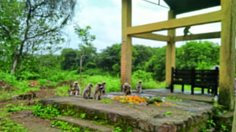 Khale cemetery Patan