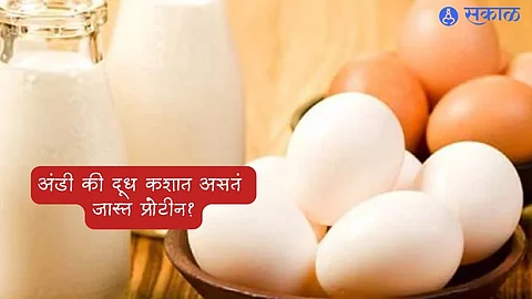Egg Versus Milk
