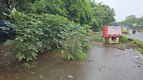 Vasar village farmer crop of ladyfinger on road mumbai land dispute midc