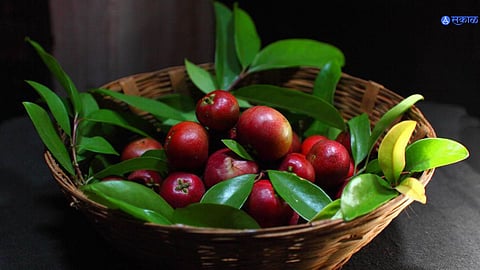 Kokam Fruit