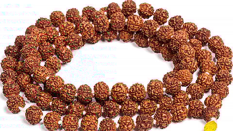 Rudraksha
