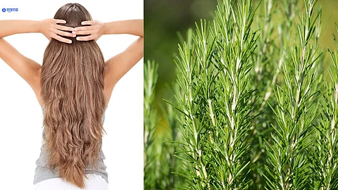 Hair Care Growth Tips