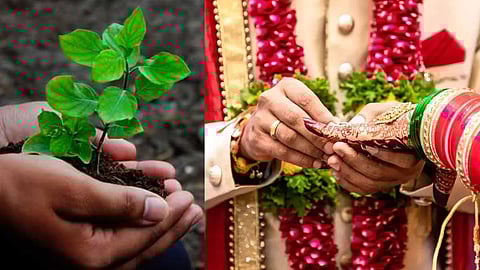 Nivade Gram Panchayat Kolhapur