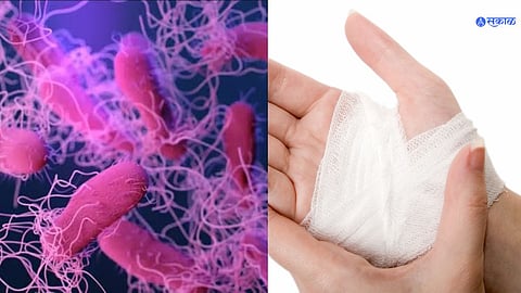 harmful bacteria news