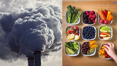 How to overcome diseases caused by pollution