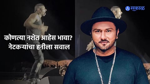 Honey Singh Jumps On Stage During live Concert Netizens Troll Him Video Viral