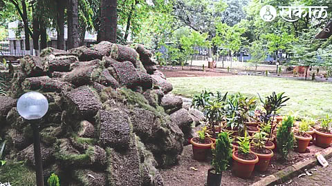 Garden work going on in the premises of the Collectorate, Nashik.