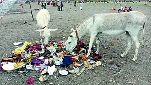 Pandharpur Live News