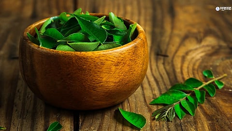 Curry Leaves Benefits
