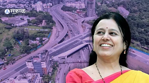 Nitin Gadkari medha kulkarni