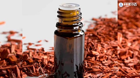 Sandalwood Oil Benefits