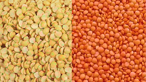 Tur Dal and Masoor Dal