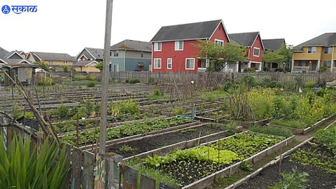 Community Farming
