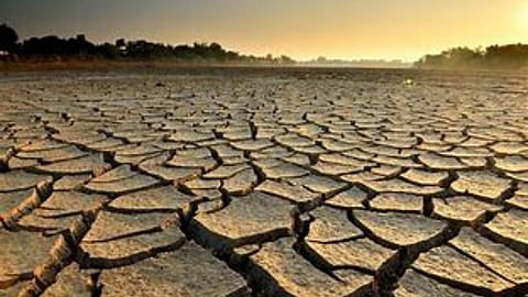 drought