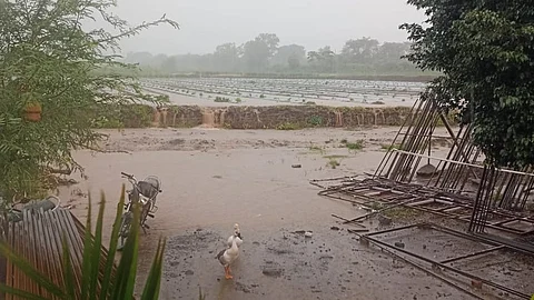 heavy rain in baramati monsoon 2023 farmer agricultural