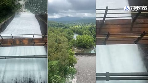 pune 4 dam water level half tmc water storage rain monsoon weather update