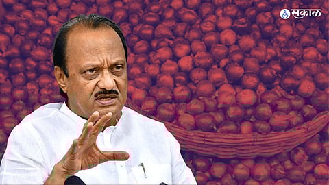 ajit pawar onion