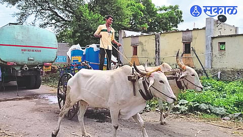 Even today, people have to bring water for drinking on bullock carts from village to village