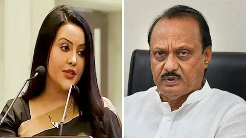 Amruta Fadnavis on Ajit Pawar: अमृता फडणवीसांकडून अजित पवारांचं कौतुक; म्हणाल्या, फडणवीसांचे भाऊ...