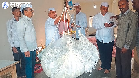 Cotton fetched price of 7100 per quintal dhule news