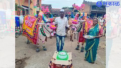 Bail Pola Festival 2023