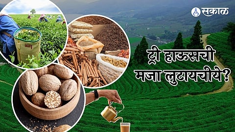 केरळ ट्रीप