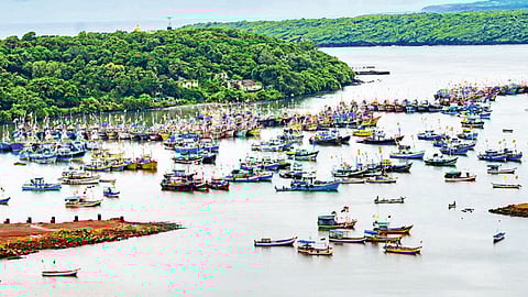 Konkan Rain Sindhudurg Meteorology Department