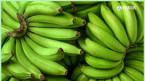 Beneficial Raw Banana
