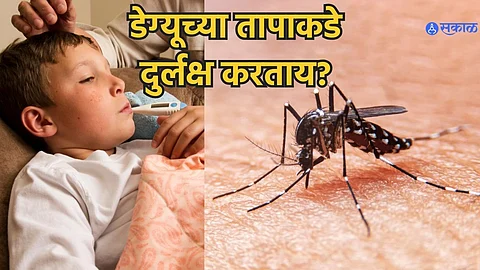 dengue and malaria symptoms