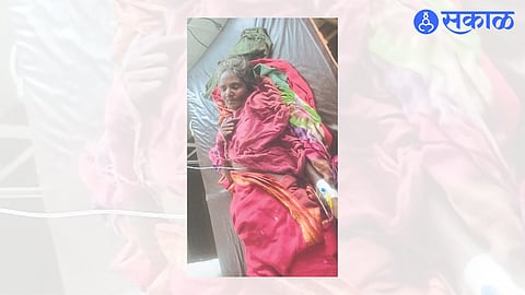 Nandurbar Leopard Attack : प्रातर्विधीसाठी गेलेली महिला बिबट्याच्या हल्ल्यात जखमी