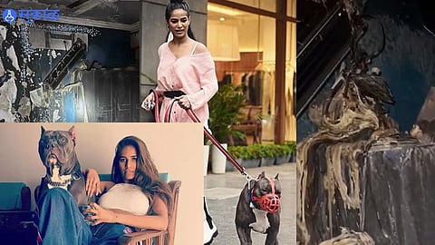 Poonam Pandey House Caught Fire
