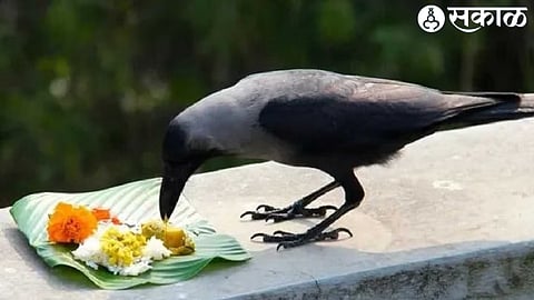 Pitru Paksha