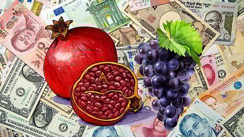 Tasgaon Farmers Grape Pomegranate Crops Foreign Currency