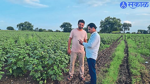 Talathi Nishikant Mane doing e-crop inspection with farmer Shankar Bagde on his mobile phone.