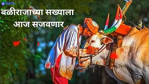 Bail Pola 2023