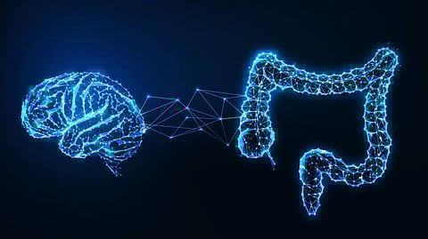 Stomach Is Human's Second Brain