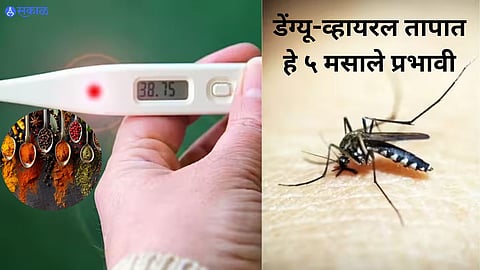 Dengue Fever Prevention