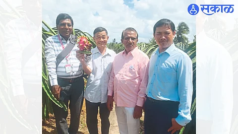 Farmer Neighbor Arun Deore, Dr. while showing jumbo red dragon fruit. Madhukar potdar.
