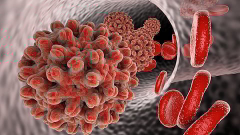 Parali Vaijnath Marathi News