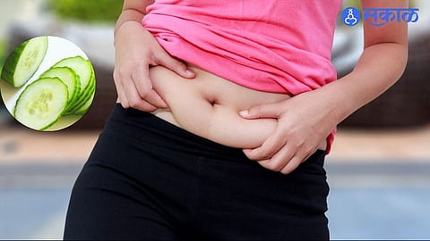 Reduce Belly Fat : पोटाची चरबी कमी करायचीयं? काकडी आहे मदतीला! जाणून घ्या ‘हे’ घरगुती उपाय