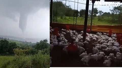 Such a divine scene was created due to the cyclone that suddenly appeared in the dam. dead chickens are seen.