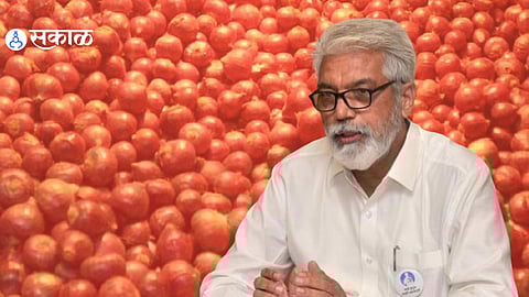 nashik onoin action news meeting between onion traders and Dada Bhuse did not lead to a solution