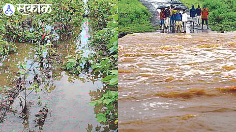 Water accumulated in the fields due to 'cloud burst' rain and Motorists crossing Jamner road bridge while waiting for the flood water to recede.