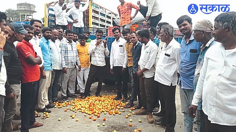 Farmers throwing tomatoes at market committee premises on Wednesday.