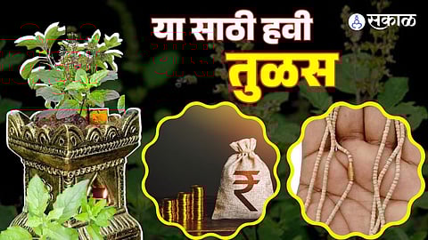 फायदे तुळशीचे