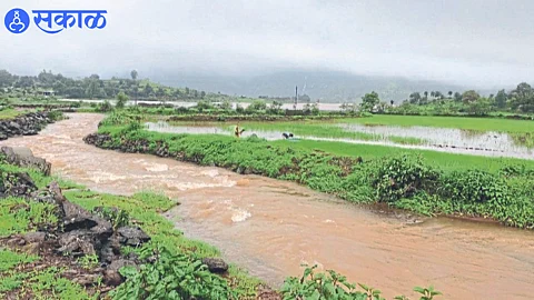 rains in the western part of the heavy rain are overflowing with small and large streams. (Photograph: Vijay Pagare)